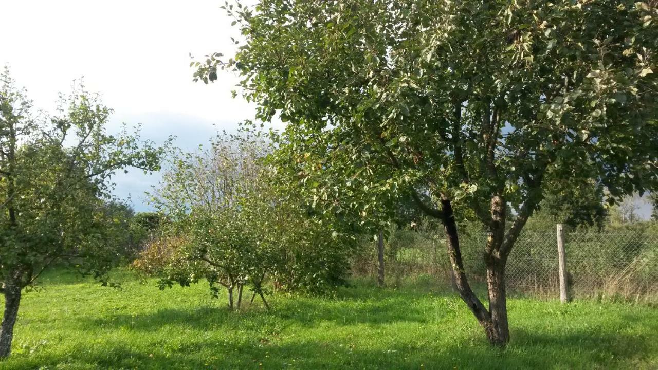 Route De Voivres Apartment
